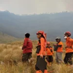 Tim BPBD Probolinggo siaga di lokasi kebakaran di Gunung Bromo/ Foto: capture ANTARA