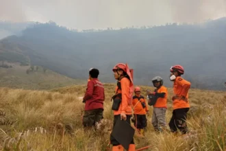 Tim BPBD Probolinggo siaga di lokasi kebakaran di Gunung Bromo/ Foto: capture ANTARA