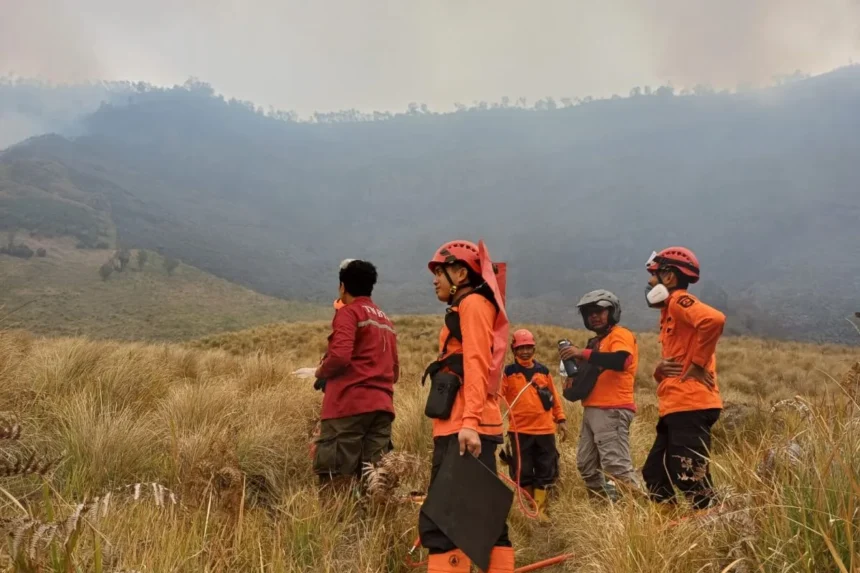 Tim BPBD Probolinggo siaga di lokasi kebakaran di Gunung Bromo/ Foto: capture ANTARA