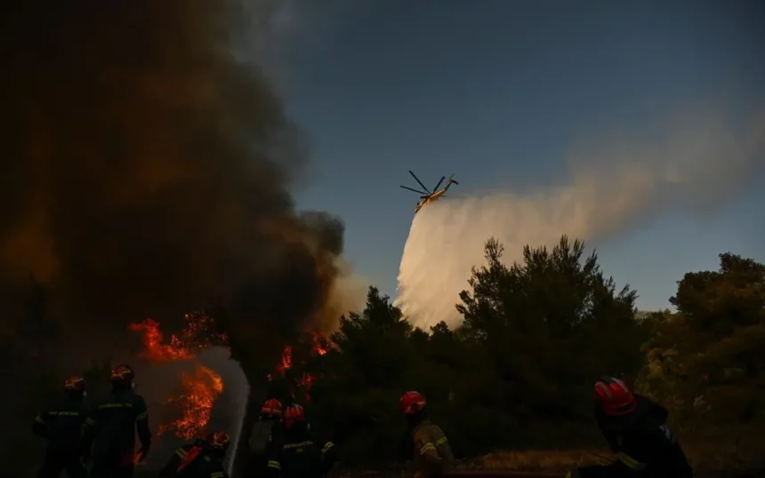 Helikopter yang sedang melakukan pemadaman api / Foto: AP