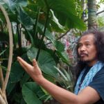 Nasirun/ Foto: courtesy KOMPAS