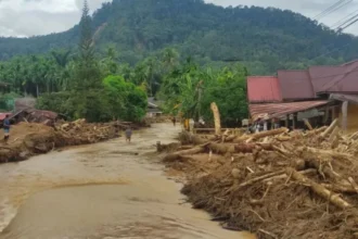 Tumpukan balok-balok kayu yang terbawa banjir menghancurkan rumah beserta fasilitas umum di Lingkungan IV, Kelurahan Hutanabolon, Tukka, Tapanuli Tengah Sumatera Utara/ Foto: ANTARA