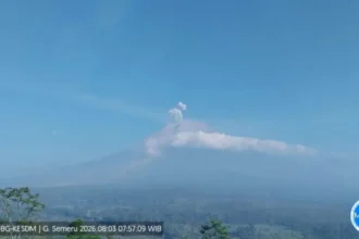 Erupsi Gunung Semeru/ Foto: capture ANTARA