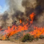 Kebakaran hutan Widemouth 2 yang terjadi di dekat Richfield, Utah, pada hari Jumat, 7 Agustus 2026/ Foto: Aljazeera