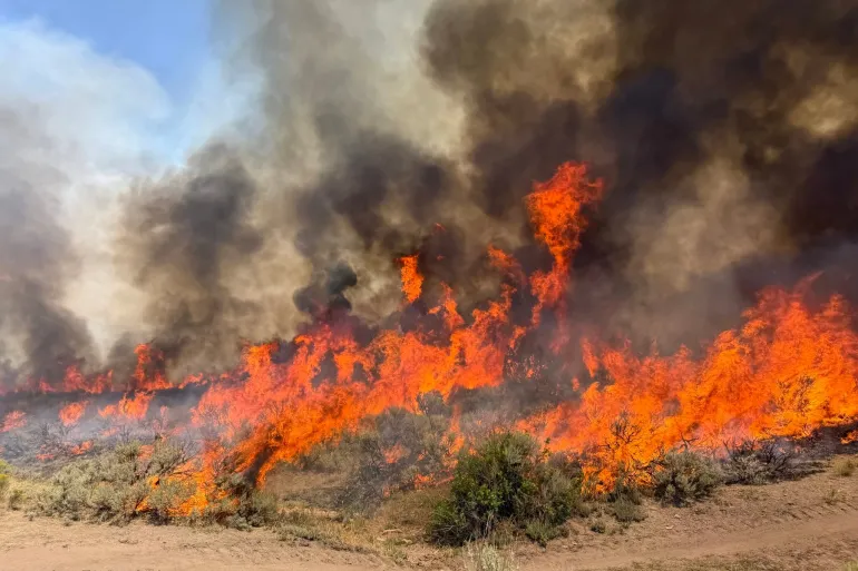 Kebakaran hutan Widemouth 2 yang terjadi di dekat Richfield, Utah, pada hari Jumat, 7 Agustus 2026/ Foto: Aljazeera