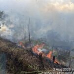 Kebakaran yang melanda kawasan hutan di Gunung Bromo/ Foto: Ist