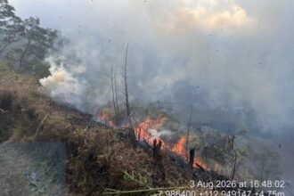 Kebakaran yang melanda kawasan hutan di Gunung Bromo/ Foto: Ist