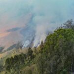 Penampakan kebakaran di kawasan Gunung Bromo/ Foto: ANTARA