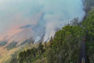 Penampakan kebakaran di kawasan Gunung Bromo/ Foto: ANTARA