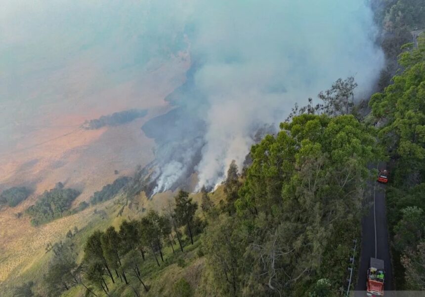 Penampakan kebakaran di kawasan Gunung Bromo/ Foto: ANTARA