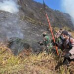 Petugas memadamkan kebakaran di kawasan Gunung Bromo/ Foto: tribrata