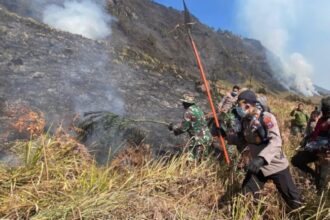 Petugas memadamkan kebakaran di kawasan Gunung Bromo/ Foto: tribrata