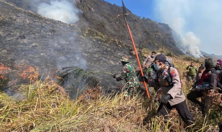 Petugas memadamkan kebakaran di kawasan Gunung Bromo/ Foto: tribrata