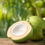 Kelapa/ Foto: Ist