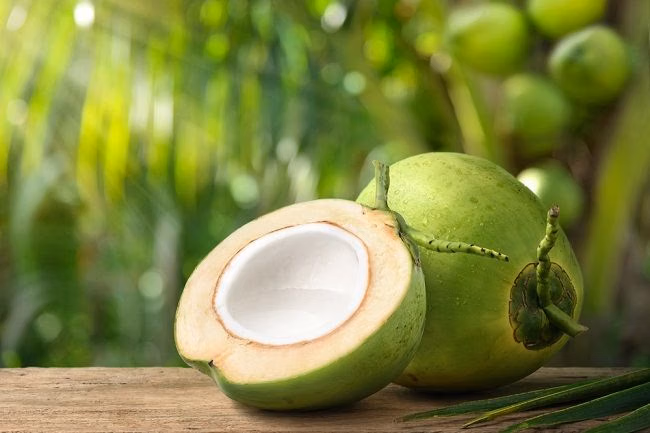 Kelapa/ Foto: Ist