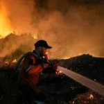 Aktifitas pemandaman kebakaran hutan dan lahan/ Foto: vietnam