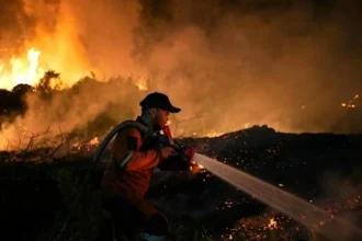 Aktifitas pemandaman kebakaran hutan dan lahan/ Foto: vietnam