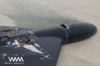 Drone LUCAS yang tak berawak ditembak jatuh Iran/ Foto: WANA