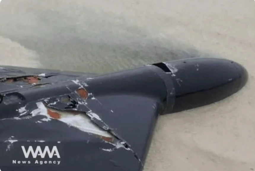 Drone LUCAS yang tak berawak ditembak jatuh Iran/ Foto: WANA