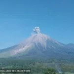 Gunung Semeru saat erupsi/ Foto: ANTARA