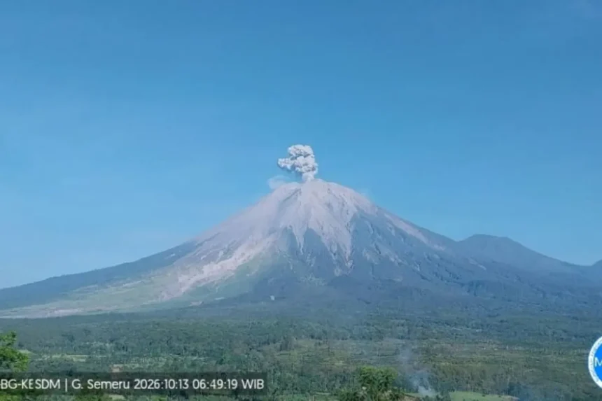 Gunung Semeru saat erupsi/ Foto: ANTARA