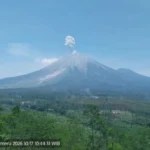 Penampakan erupsi Gn Semeru/ Foto: ANTARA