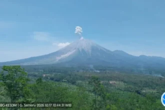 Penampakan erupsi Gn Semeru/ Foto: ANTARA