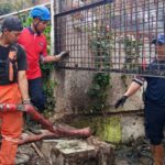 Sejumlah petugas membersihkan sampah yang menyumbat di saluran air/ Foto: ANTARA