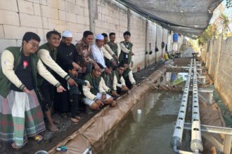 DPL KKN Kelompok 13 Mohammad syarrafah saat meresmikan kolam budidaya ikan yang disertai aquaponik/dok.Aktual.co.id