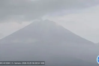Aktifitas Gn Semeru pada Kamis 29 Oktober 2026/ Foto: capture ANTARA