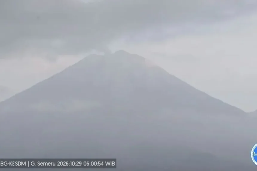 Aktifitas Gn Semeru pada Kamis 29 Oktober 2026/ Foto: capture ANTARA