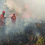 Petugas berjuang memadamkan Karhutla/ Foto: Kemenhut