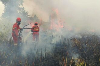 Petugas berjuang memadamkan Karhutla/ Foto: Kemenhut