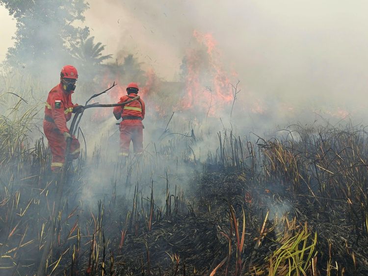 Petugas berjuang memadamkan Karhutla/ Foto: Kemenhut